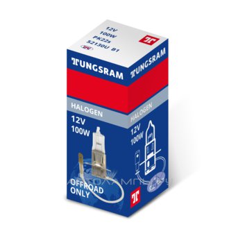 H3 12V-100W (PK22s) Rally 93105085 52130U B1